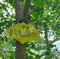 陜西景區(qū)植物介紹牌<div   id=