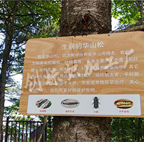 陜西旬陽壩景區(qū)標(biāo)識標(biāo)牌制作項目完美收工